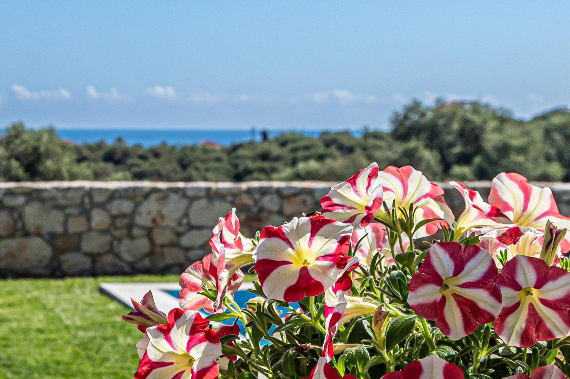 Villa Penelope Galatás Exteriér fotografie